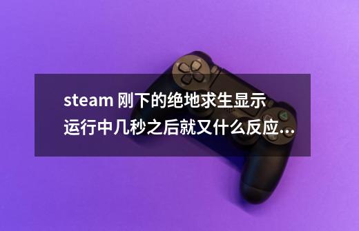 steam 刚下的绝地求生显示运行中几秒之后就又什么反应都没了-第1张-游戏信息-龙启网