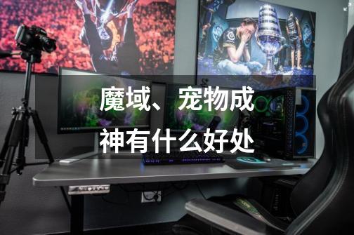 魔域、宠物成神有什么好处-第1张-游戏信息-龙启网