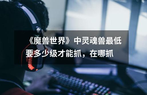 《魔兽世界》中灵魂兽最低要多少级才能抓，在哪抓-第1张-游戏信息-龙启网