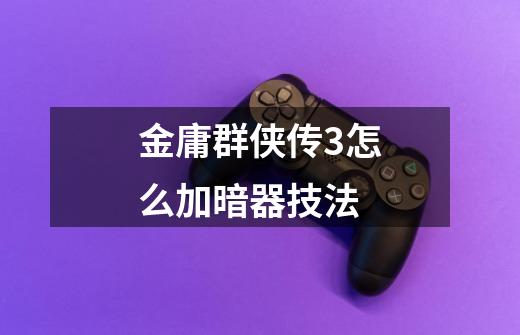 金庸群侠传3怎么加暗器技法-第1张-游戏信息-龙启网