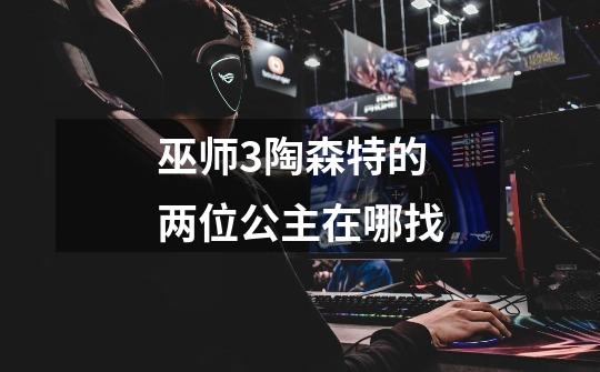巫师3陶森特的两位公主在哪找-第1张-游戏信息-龙启网