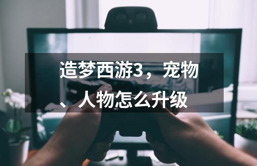 造梦西游3，宠物、人物怎么升级-第1张-游戏信息-龙启网