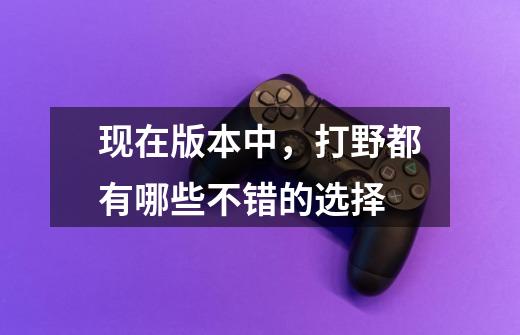 现在版本中,打野都有哪些不错的选择-第1张-游戏信息-龙启网