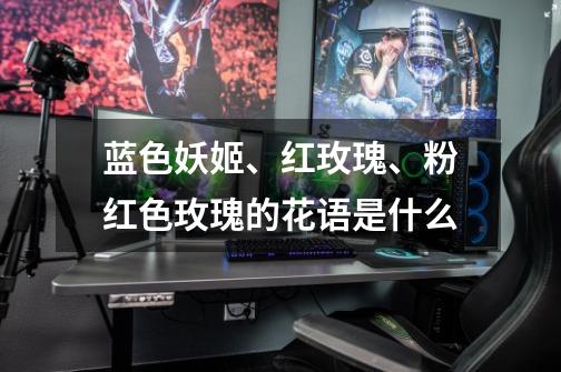蓝色妖姬、红玫瑰、粉红色玫瑰的花语是什么-第1张-游戏信息-龙启网