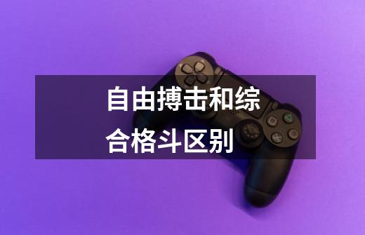 自由搏击和综合格斗区别-第1张-游戏信息-龙启网