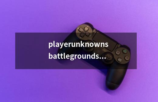 playerunknowns battlegrounds这游戏是什么啊，进去都是英文不说还没有开始-第1张-游戏信息-龙启网