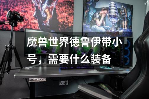 魔兽世界德鲁伊带小号,需要什么装备-第1张-游戏信息-龙启网