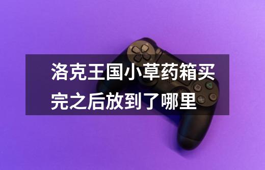 洛克王国小草药箱买完之后放到了哪里-第1张-游戏信息-龙启网