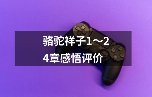 骆驼祥子1~24章感悟评价-第1张-游戏信息-龙启网