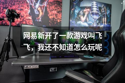 网易新开了一款游戏叫飞飞,我还不知道怎么玩呢-第1张-游戏信息-龙启网