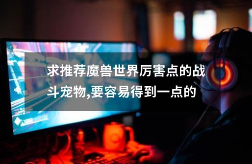 求推荐魔兽世界厉害点的战斗宠物,要容易得到一点的.-第1张-游戏信息-龙启网