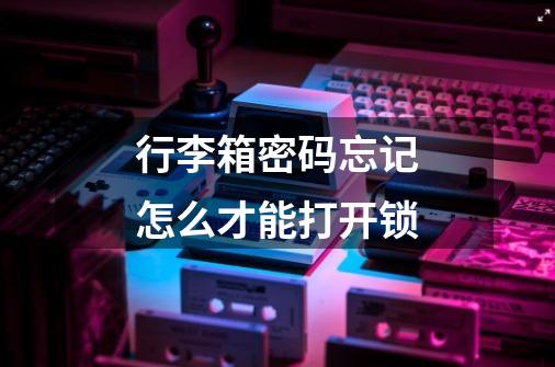 行李箱密码忘记怎么才能打开锁-第1张-游戏信息-龙启网