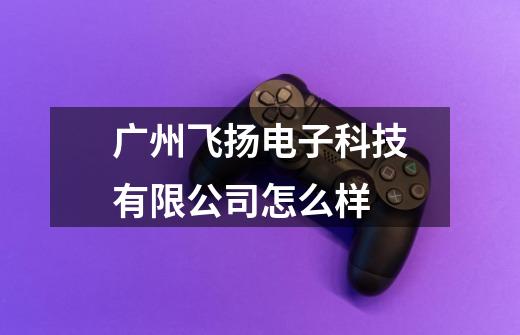广州飞扬电子科技有限公司怎么样-第1张-游戏信息-龙启网