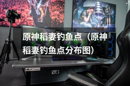 原神稻妻钓鱼点(原神稻妻钓鱼点分布图)-第1张-游戏信息-龙启网