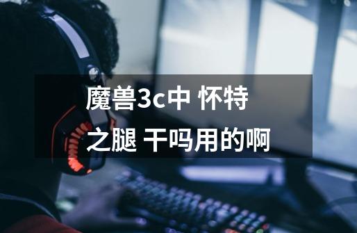 魔兽3c中 怀特之腿 干吗用的啊-第1张-游戏信息-龙启网