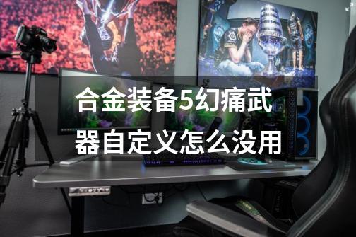 合金装备5幻痛武器自定义怎么没用-第1张-游戏信息-龙启网