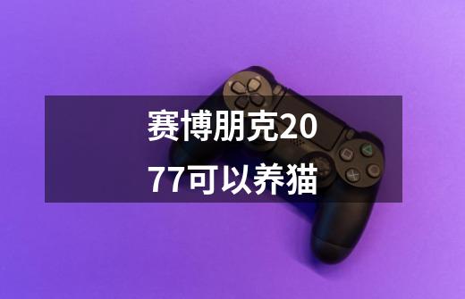 赛博朋克2077可以养猫-第1张-游戏信息-龙启网