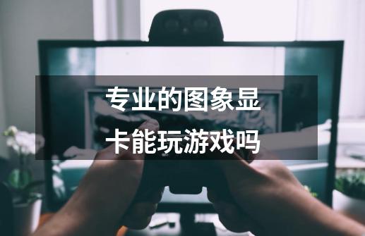 专业的图象显卡能玩游戏吗-第1张-游戏信息-龙启网