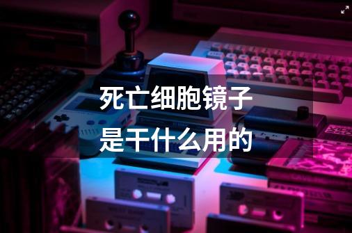 死亡细胞镜子是干什么用的-第1张-游戏信息-龙启网