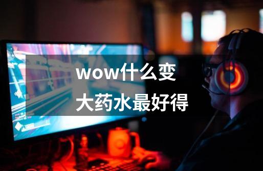 wow什么变大药水最好得-第1张-游戏信息-龙启网