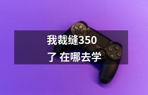 我裁缝350了 在哪去学-第1张-游戏信息-龙启网