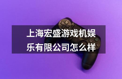 上海宏盛游戏机娱乐有限公司怎么样-第1张-游戏信息-龙启网