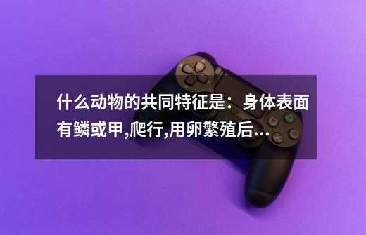 什么动物的共同特征是:身体表面有鳞或甲,爬行,用卵繁殖后代-第1张-游戏信息-龙启网
