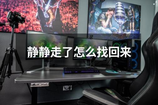 静静走了怎么找回来-第1张-游戏信息-龙启网