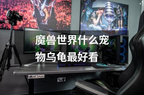 魔兽世界什么宠物乌龟最好看-第1张-游戏信息-龙启网