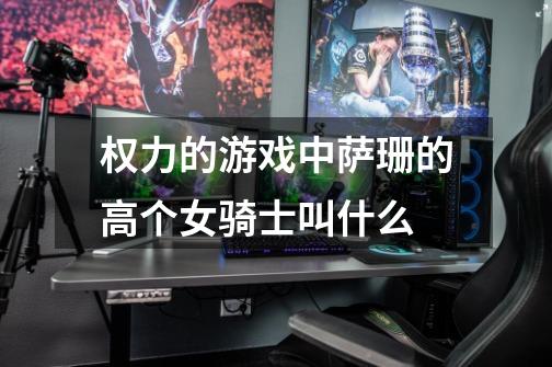 权力的游戏中萨珊的高个女骑士叫什么-第1张-游戏信息-龙启网