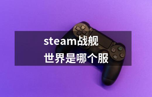 steam战舰世界是哪个服-第1张-游戏信息-龙启网