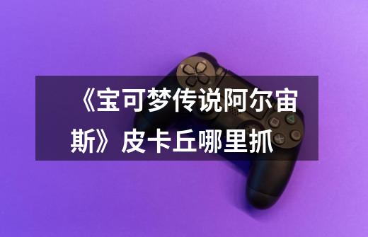 《宝可梦传说阿尔宙斯》皮卡丘哪里抓-第1张-游戏信息-龙启网