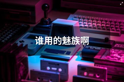谁用的魅族啊-第1张-游戏信息-龙启网