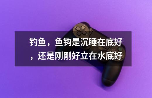 钓鱼,鱼钩是沉睡在底好,还是刚刚好立在水底好-第1张-游戏信息-龙启网