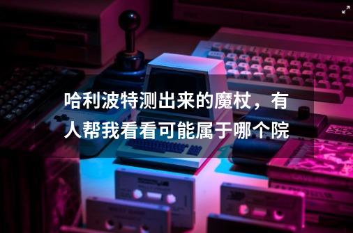 哈利波特测出来的魔杖,有人帮我看看可能属于哪个院-第1张-游戏信息-龙启网