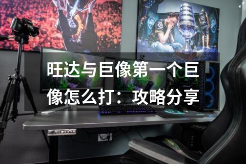 旺达与巨像第一个巨像怎么打:攻略分享-第1张-游戏信息-龙启网