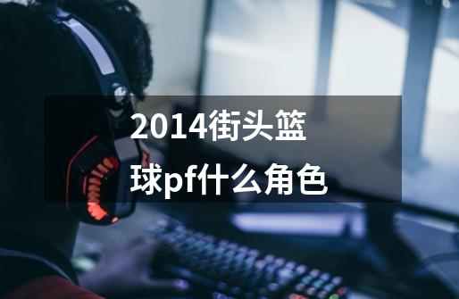 2014街头篮球pf什么角色-第1张-游戏信息-龙启网