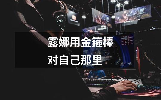 露娜用金箍棒对自己那里-第1张-游戏信息-龙启网
