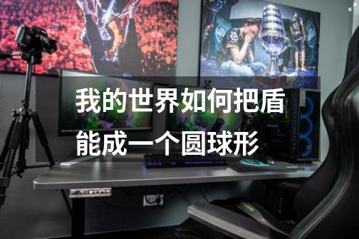 我的世界如何把盾能成一个圆球形-第1张-游戏信息-龙启网