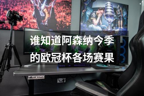 谁知道阿森纳今季的欧冠杯各场赛果-第1张-游戏信息-龙启网