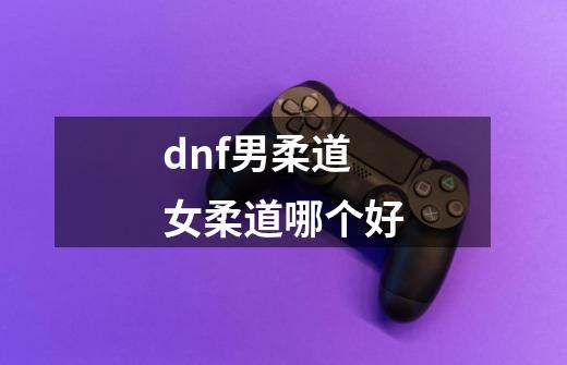 dnf男柔道女柔道哪个好-第1张-游戏信息-龙启网
