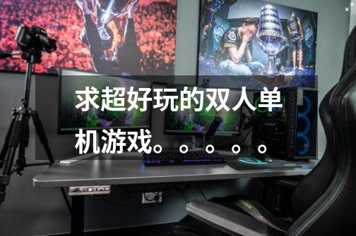 求超好玩的双人单机游戏。。。。。-第1张-游戏信息-龙启网