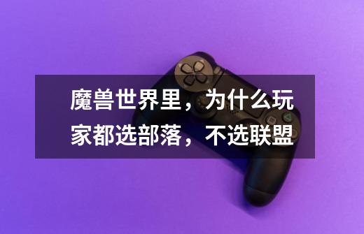 魔兽世界里,为什么玩家都选部落,不选联盟-第1张-游戏信息-龙启网
