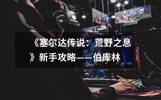 《塞尔达传说:荒野之息》新手攻略——伯库林-第1张-游戏信息-龙启网
