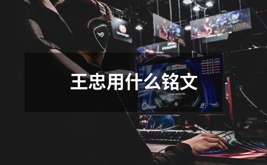 王忠用什么铭文-第1张-游戏信息-龙启网