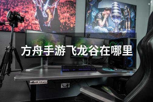 方舟手游飞龙谷在哪里-第1张-游戏信息-龙启网