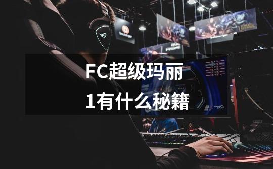 FC超级玛丽1有什么秘籍-第1张-游戏信息-龙启网