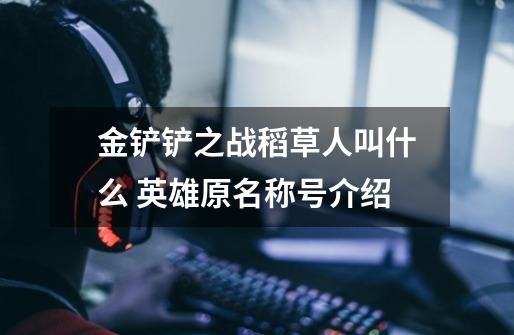 金铲铲之战稻草人叫什么 英雄原名称号介绍-第1张-游戏信息-龙启网
