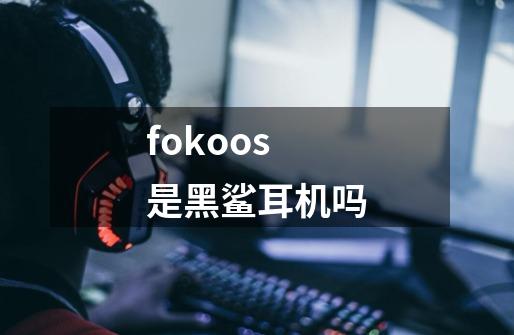 fokoos是黑鲨耳机吗-第1张-游戏信息-龙启网