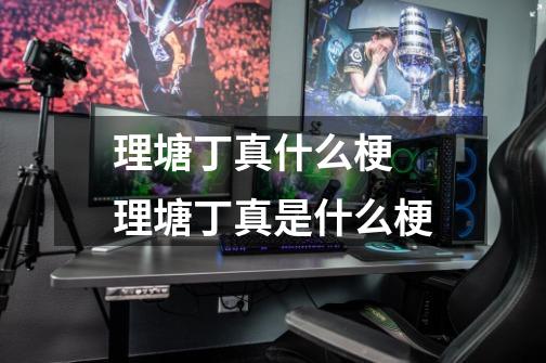 理塘丁真什么梗 理塘丁真是什么梗-第1张-游戏信息-龙启网